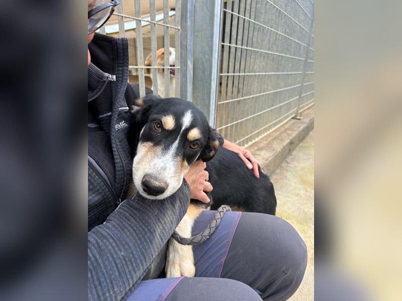 Bill: einfach nur lieb und unkompliziert