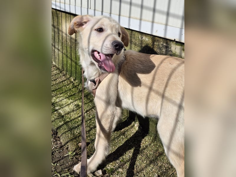 Fidor: Hallo, hier bin ich!