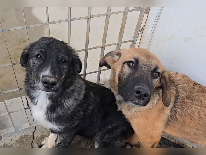 Pesca: Spaß und gute Laune garantiert