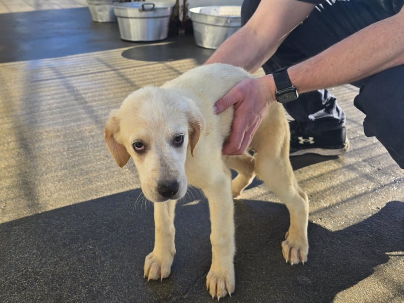 Nami und Noe: vom Flughafen ins schöne Leben