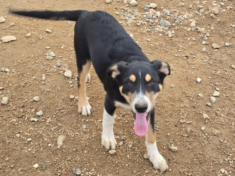 Betty: Eine für Alle