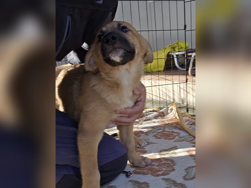 Egidio: freut sich auf ein Leben in einer Familie