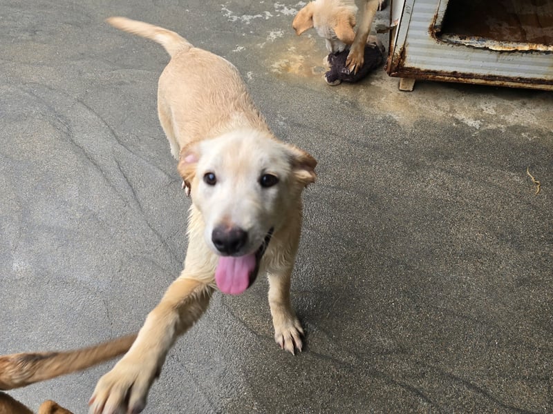 Fidor: Hallo, hier bin ich!