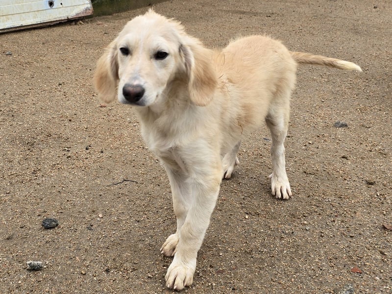 Cameron: kleiner Herzensbrecher