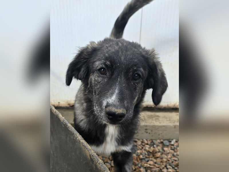 Pesca: Spaß und gute Laune garantiert