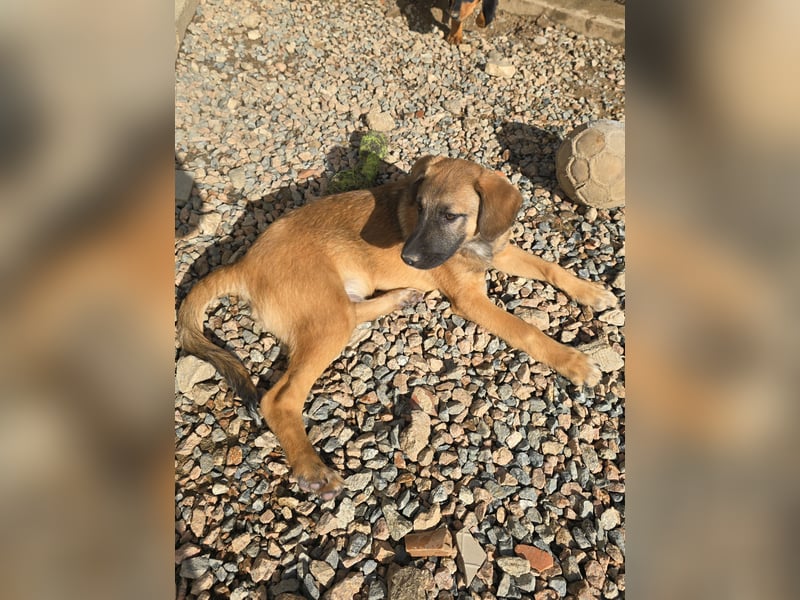 Vento: Spaß und gute Laune garantiert