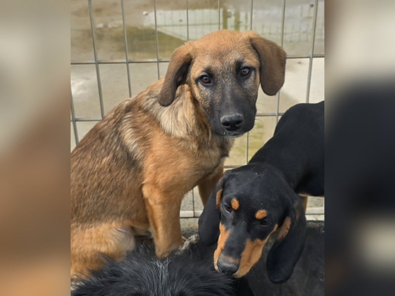 Vento: Spaß und gute Laune garantiert