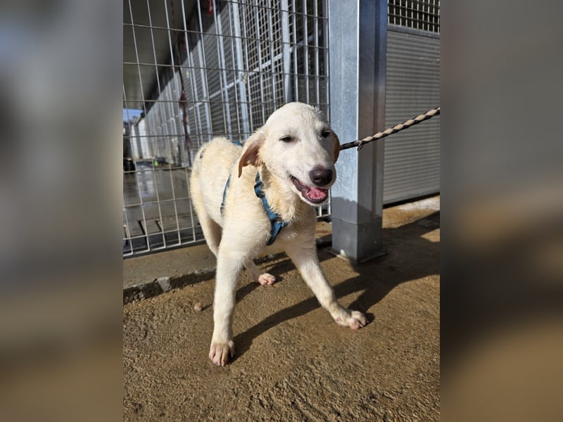 Kate: wird mein Leben bunt und schön?