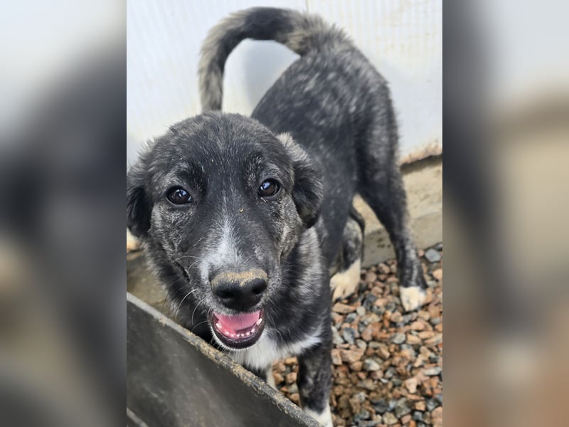 Pesca: Spaß und gute Laune garantiert