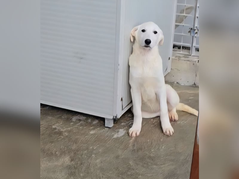 Kate: wird mein Leben bunt und schön?