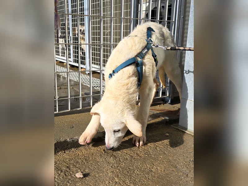 Kate: wird mein Leben bunt und schön?