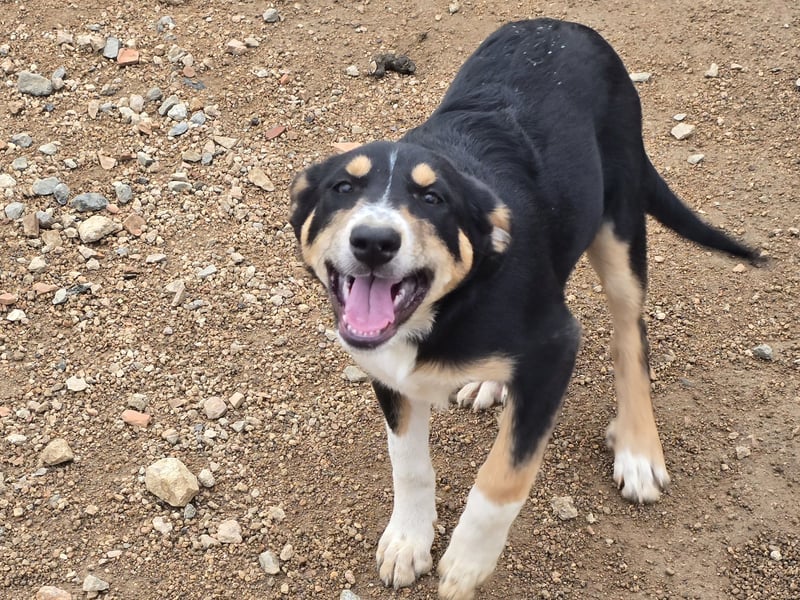 Betty: Eine für Alle