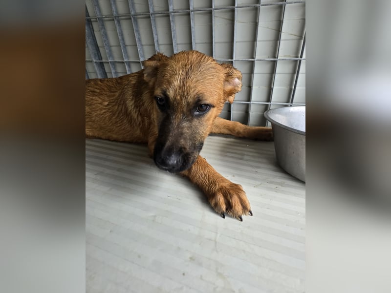 Fritz: er liebt das Leben