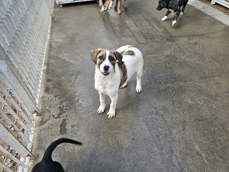 Ave: Spaß und gute Laune garantiert