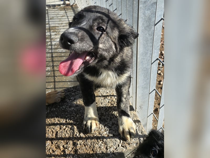 Pesca: Spaß und gute Laune garantiert