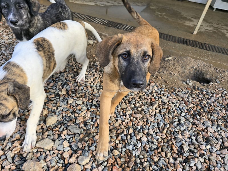 Vento: Spaß und gute Laune garantiert