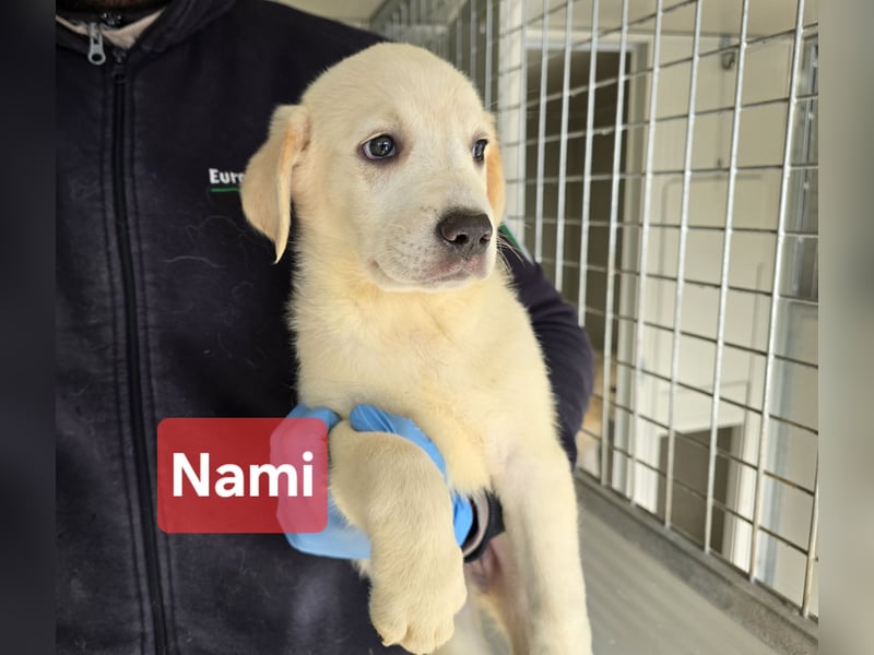 Nami und Noe: vom Flughafen ins schöne Leben