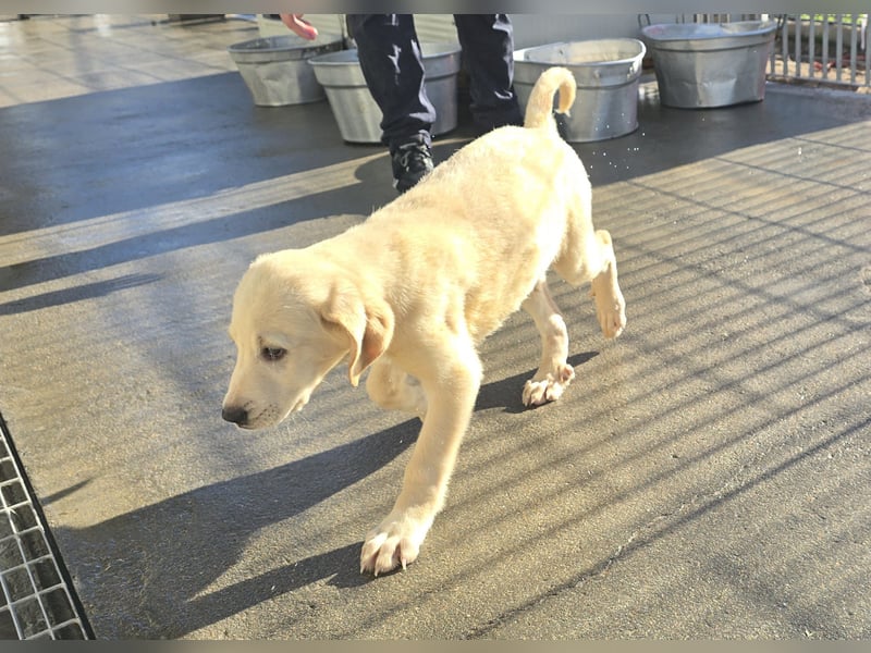 Nami und Noe: vom Flughafen ins schöne Leben