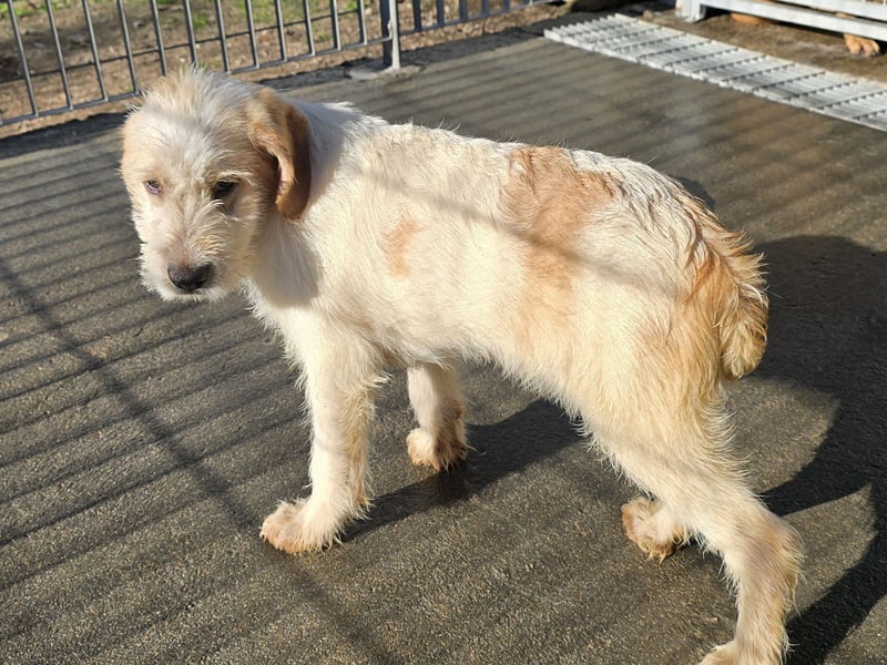 Nami und Noe: vom Flughafen ins schöne Leben