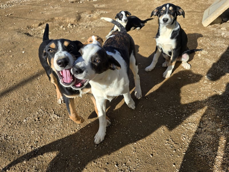 Bill: Hallo, hier bin ich!