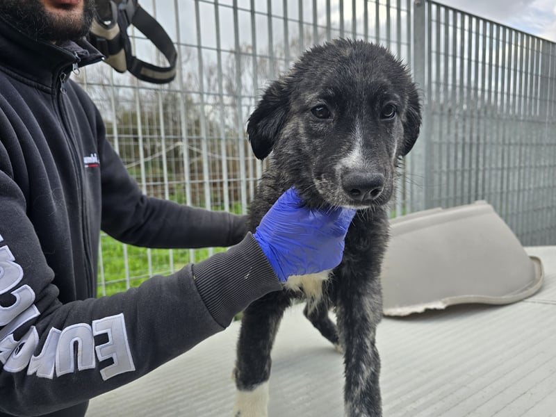 Pesca: Spaß und gute Laune garantiert