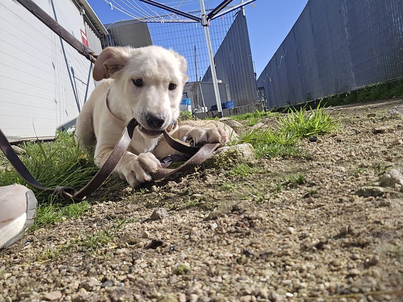 Fidor: Hallo, hier bin ich!