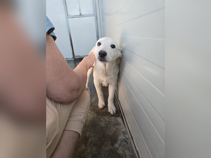 Liz: wer öffnet mir  die Tür?