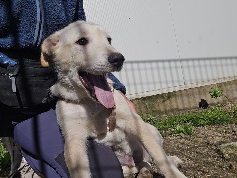 Fidor: Hallo, hier bin ich!