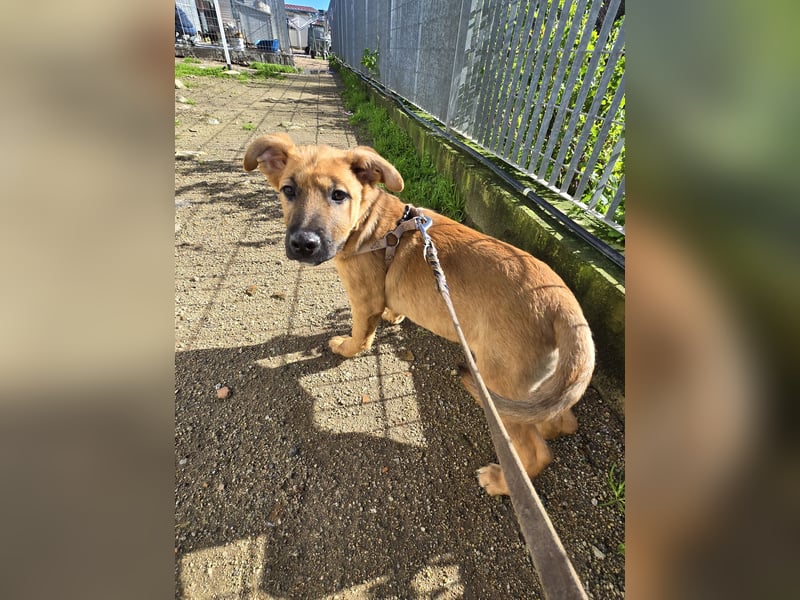 Fritz: er liebt das Leben