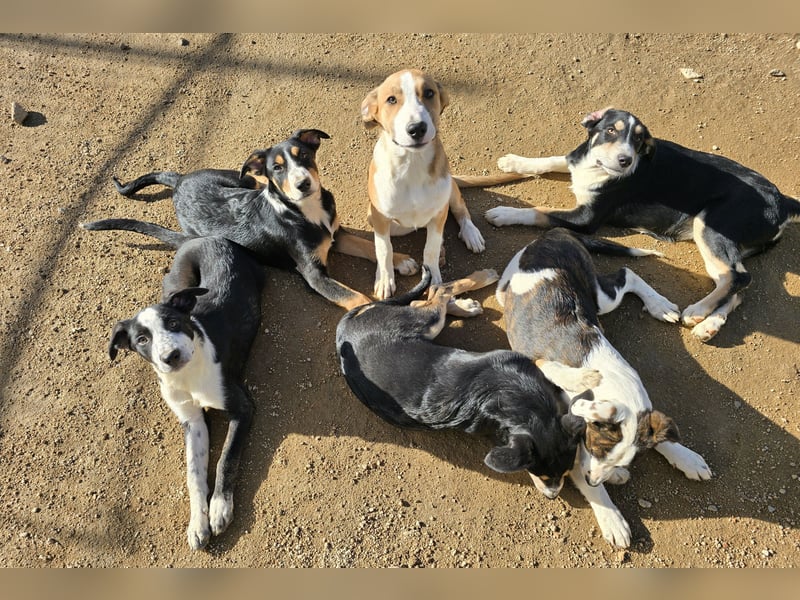 Bill: Hallo, hier bin ich!