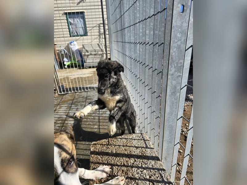 Pesca: Spaß und gute Laune garantiert