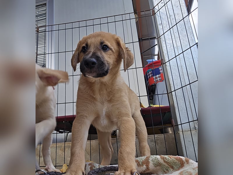 Egidio: freut sich auf ein Leben in einer Familie