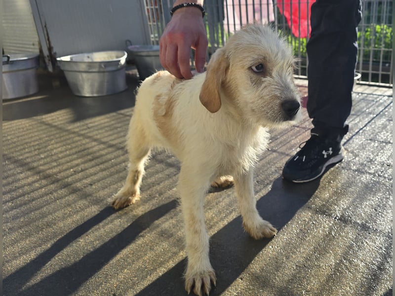 Nami und Noe: vom Flughafen ins schöne Leben