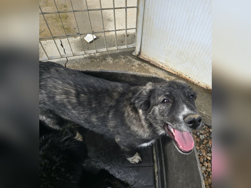 Pesca: Spaß und gute Laune garantiert