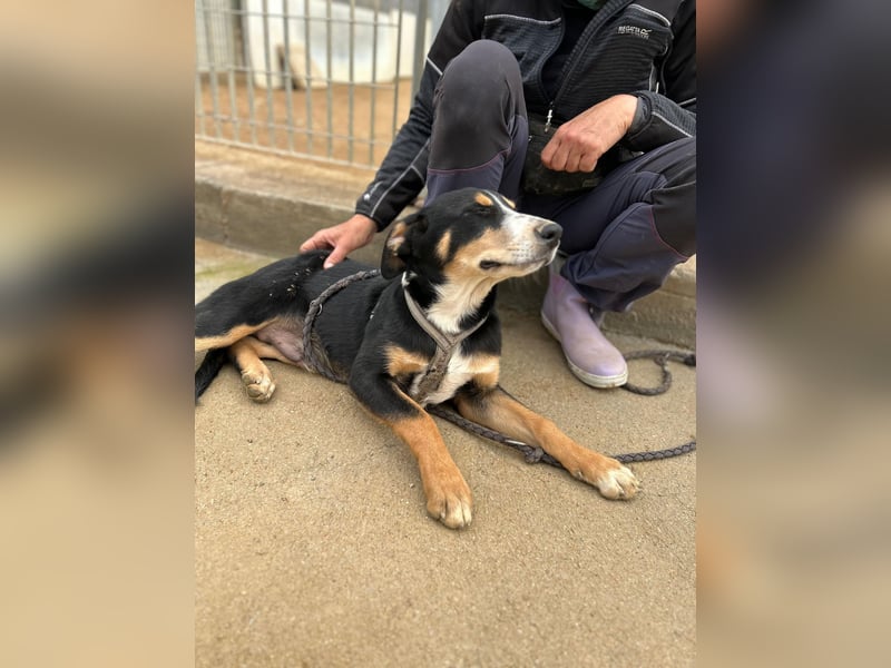 Bill: einfach nur lieb und unkompliziert