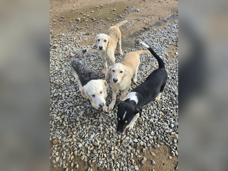 Cameron: kleiner Herzensbrecher