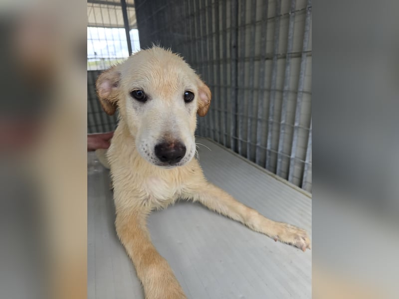 Fidor: Hallo, hier bin ich!