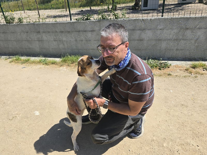 Gilda: erobert alle Herzen mit ihrer Fröhlichkeit