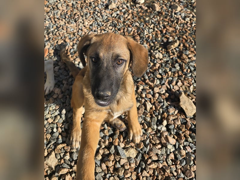 Vento: Spaß und gute Laune garantiert