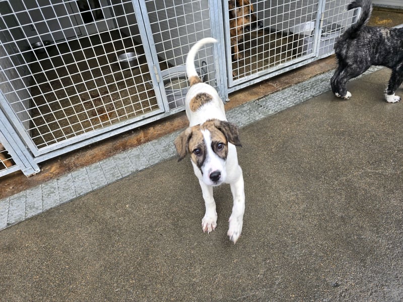 Ave: Spaß und gute Laune garantiert