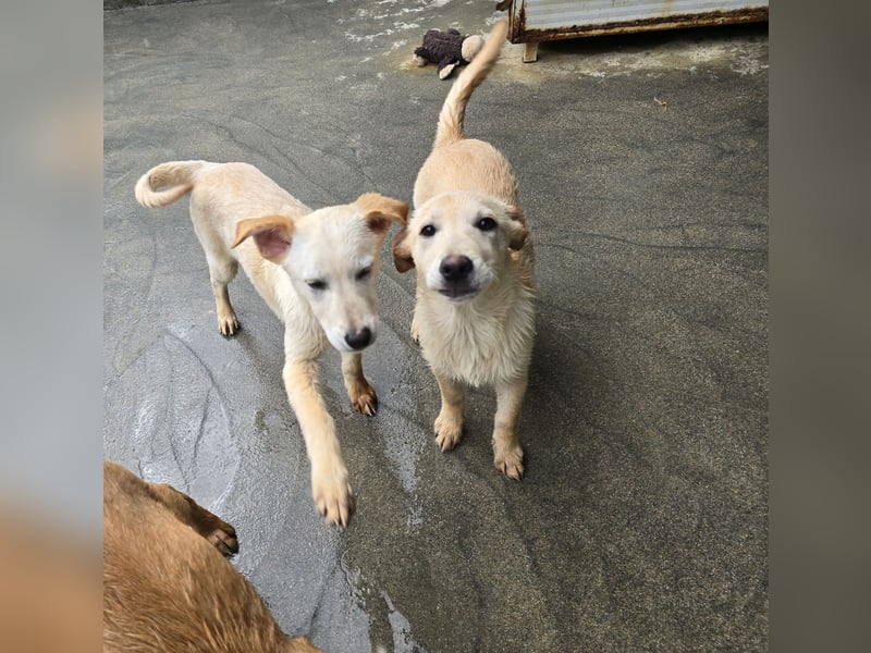 Fidor: Hallo, hier bin ich!