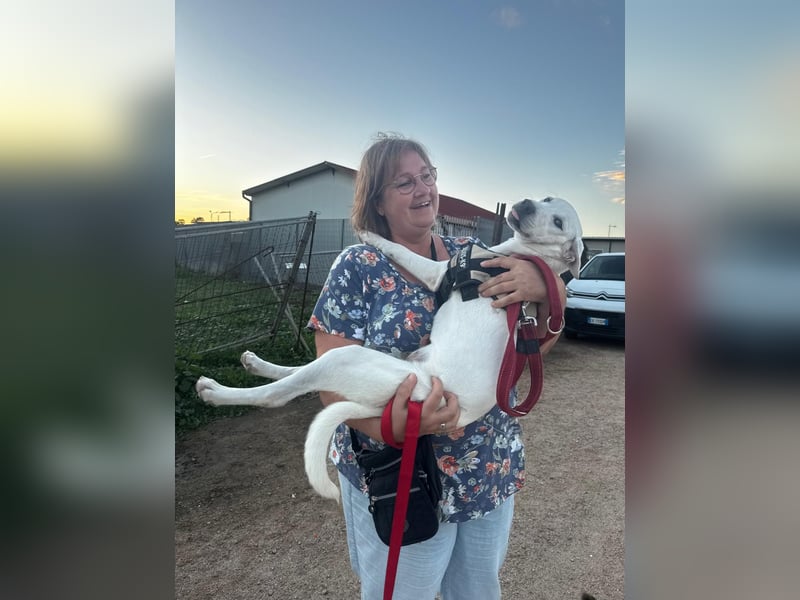 Bice: verschmuster Mini-Labbi-Mädchen Bice: verschmuster Mini-Labbi-Mädchen