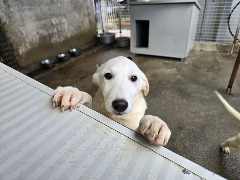 Kate: wird mein Leben bunt und schön?