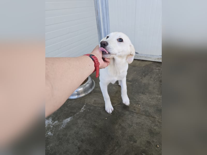 Liz: wer öffnet mir  die Tür?