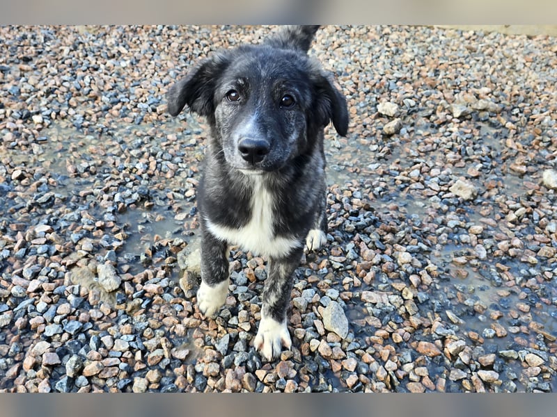 Pesca: Spaß und gute Laune garantiert