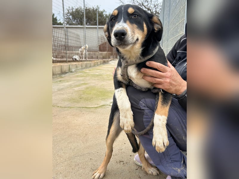 Betty: Eine für Alle