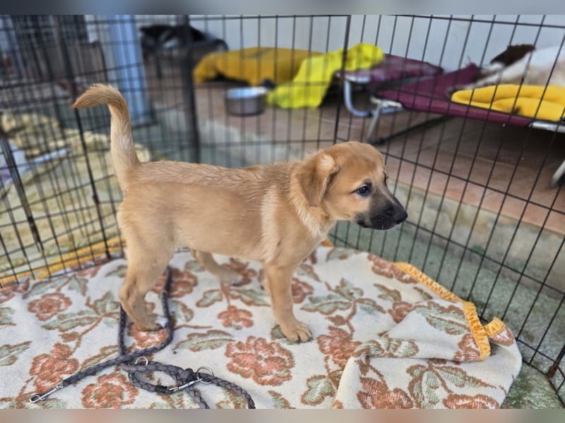 Egidio: freut sich auf ein Leben in einer Familie