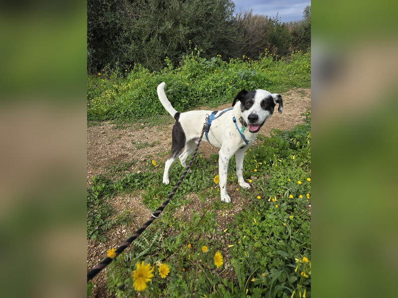 Diddo:  er hatte eine Familie