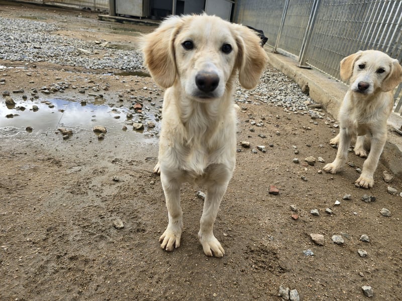Cameron: kleiner Herzensbrecher