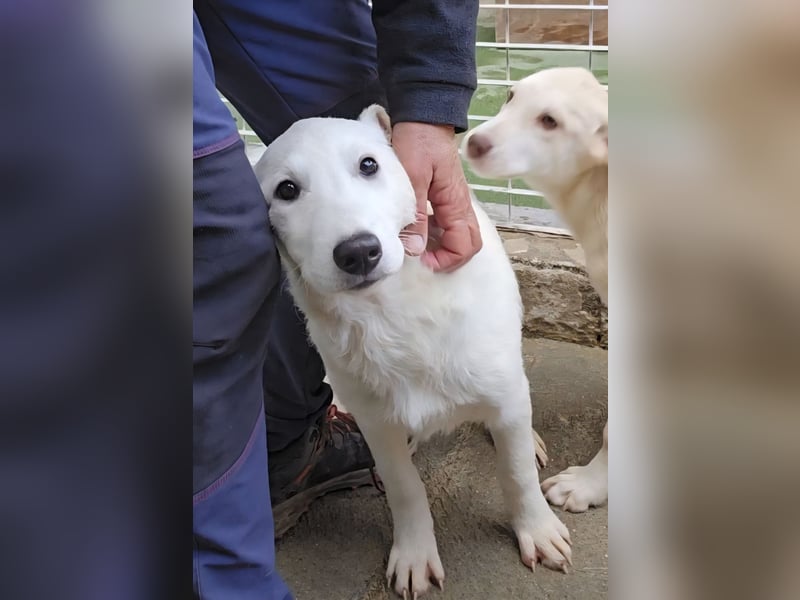 Kate: wird mein Leben bunt und schön?